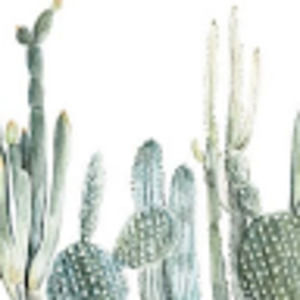 Meet your Posher, Addy